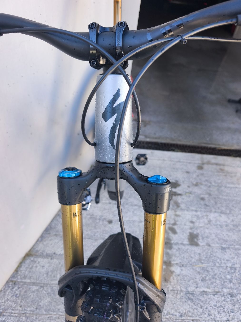 Specialized Biciclette: Specialized S-Works Stumpjumper EVO – Nuovo (secondo la descrizione) da Zuoz venduto da Hangloose0 5