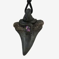 Mako Haifischzahn fossiliert mit Titanbeschichtetem Epidot