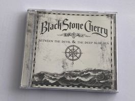 BLACK STONE CHERRY - Between the devil and the blue sea