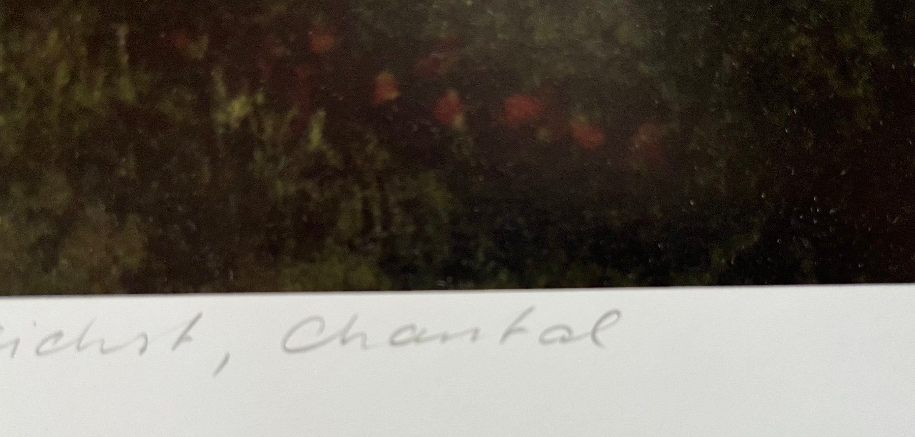 Labor & Dunkelkammer: Kunstdruck Chantal Michel – Gebraucht aus Uttigen von mas_6yq7 1