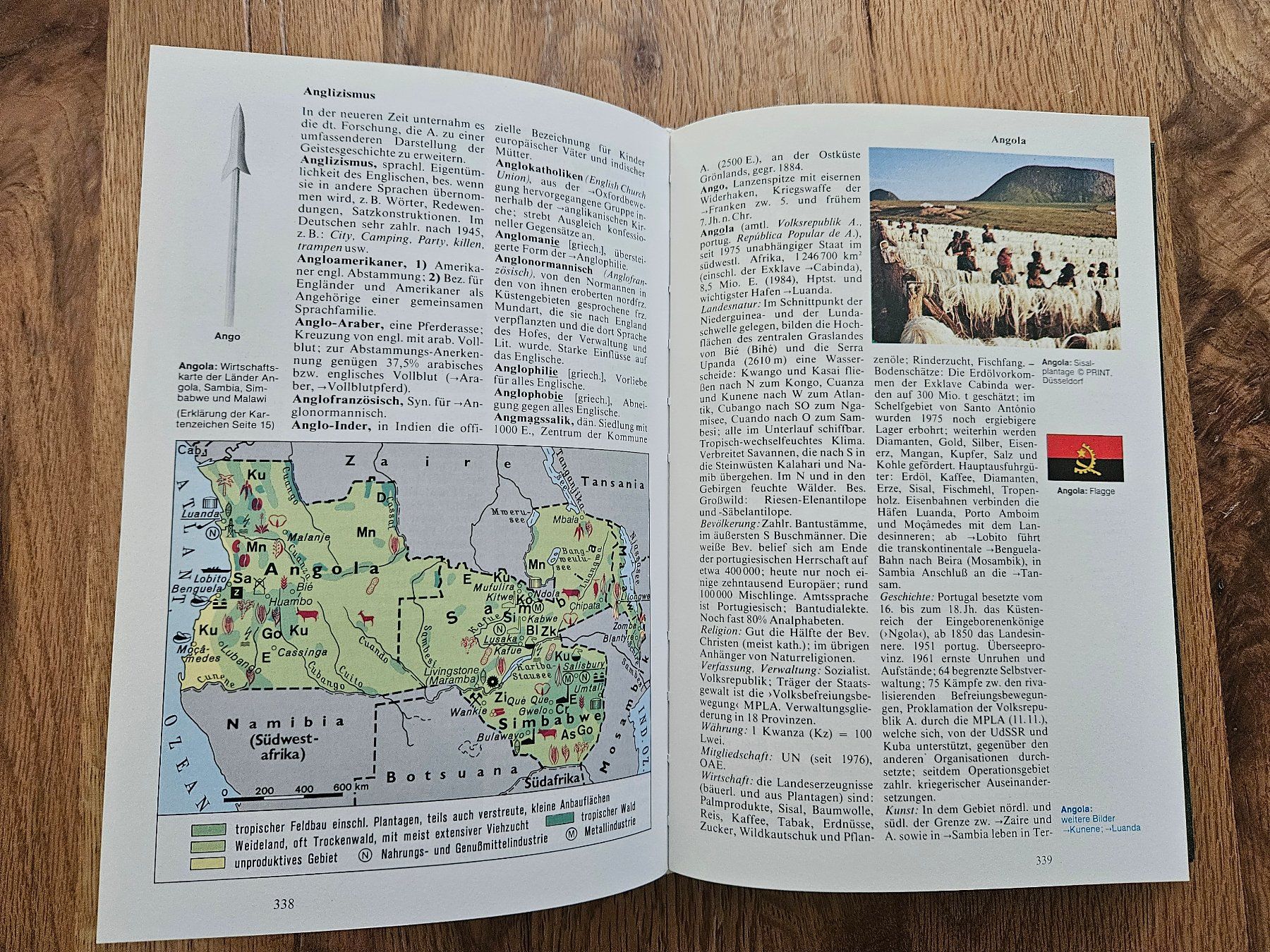 Bücher: das neue grosse illustrierte Lexikon – Gebraucht aus St.Gallen von Capsule_Corporation 4