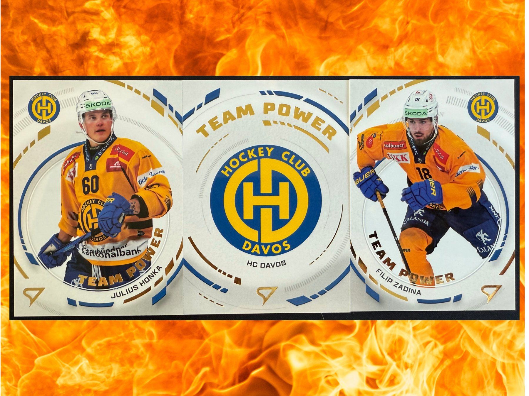 Sportzoo Carte collezionabili: TEAM POWER SET - HCD Davos - Sportzoo – Usato da Gurmels venduto da nico_ru