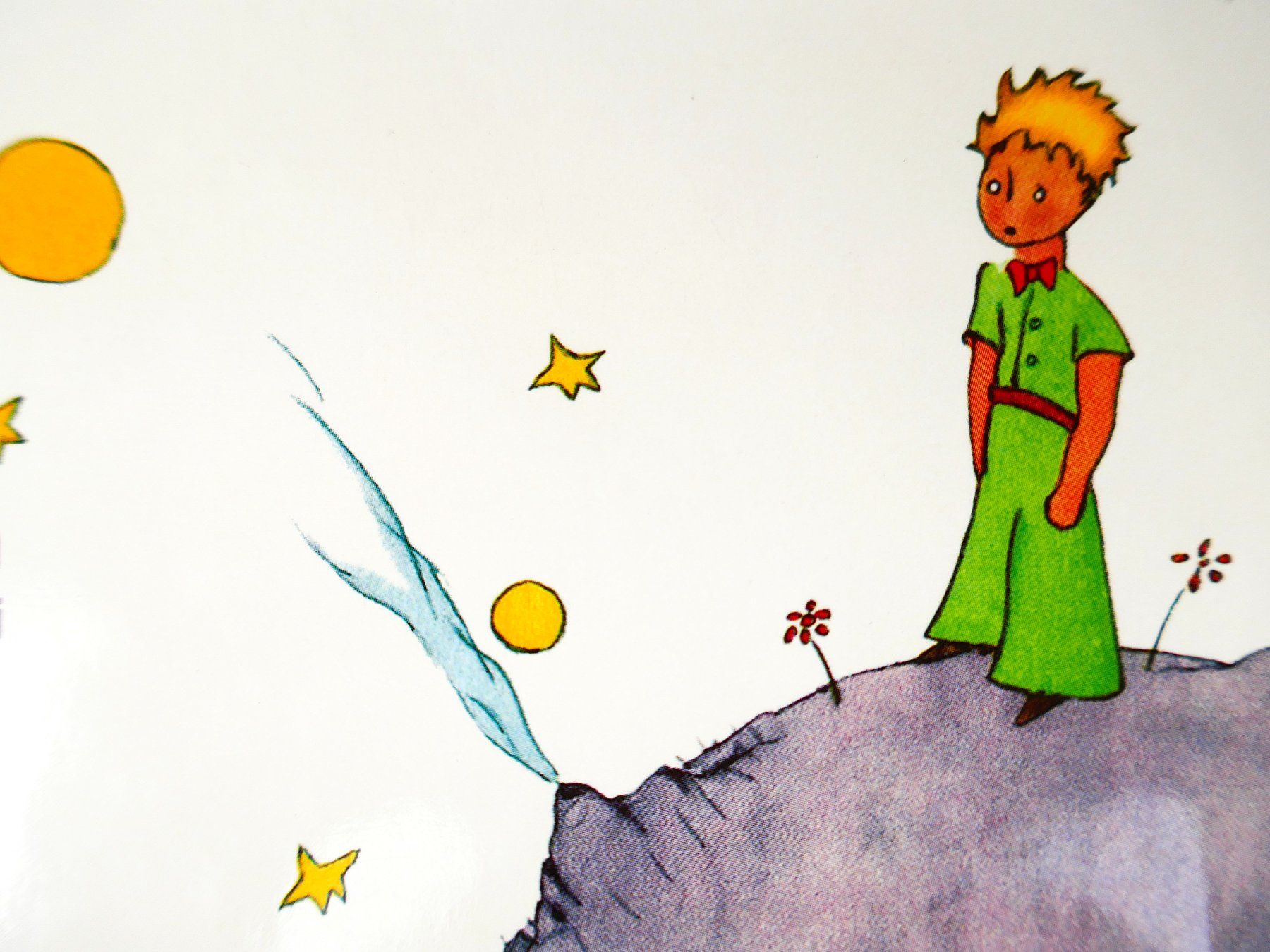 Bücher: Buch "Der Chly Prinz" – Gebraucht aus Urtenen-Schönbühl von Restwert_Schoenbuehl 6