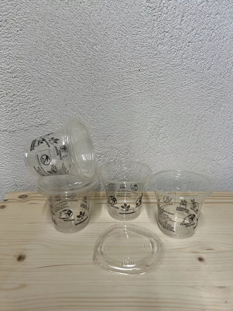Contenitori & Simili: Plastik Klarbecher / Deckel – Nuovo e nell'imballaggio originale da Pany venduto da Bergo00