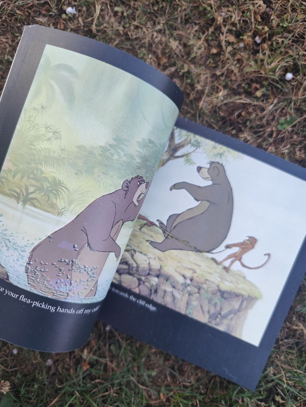 Bücher: Walt Disney The Jungle Book – Gebraucht aus Mägenwil von VintageGirly 2