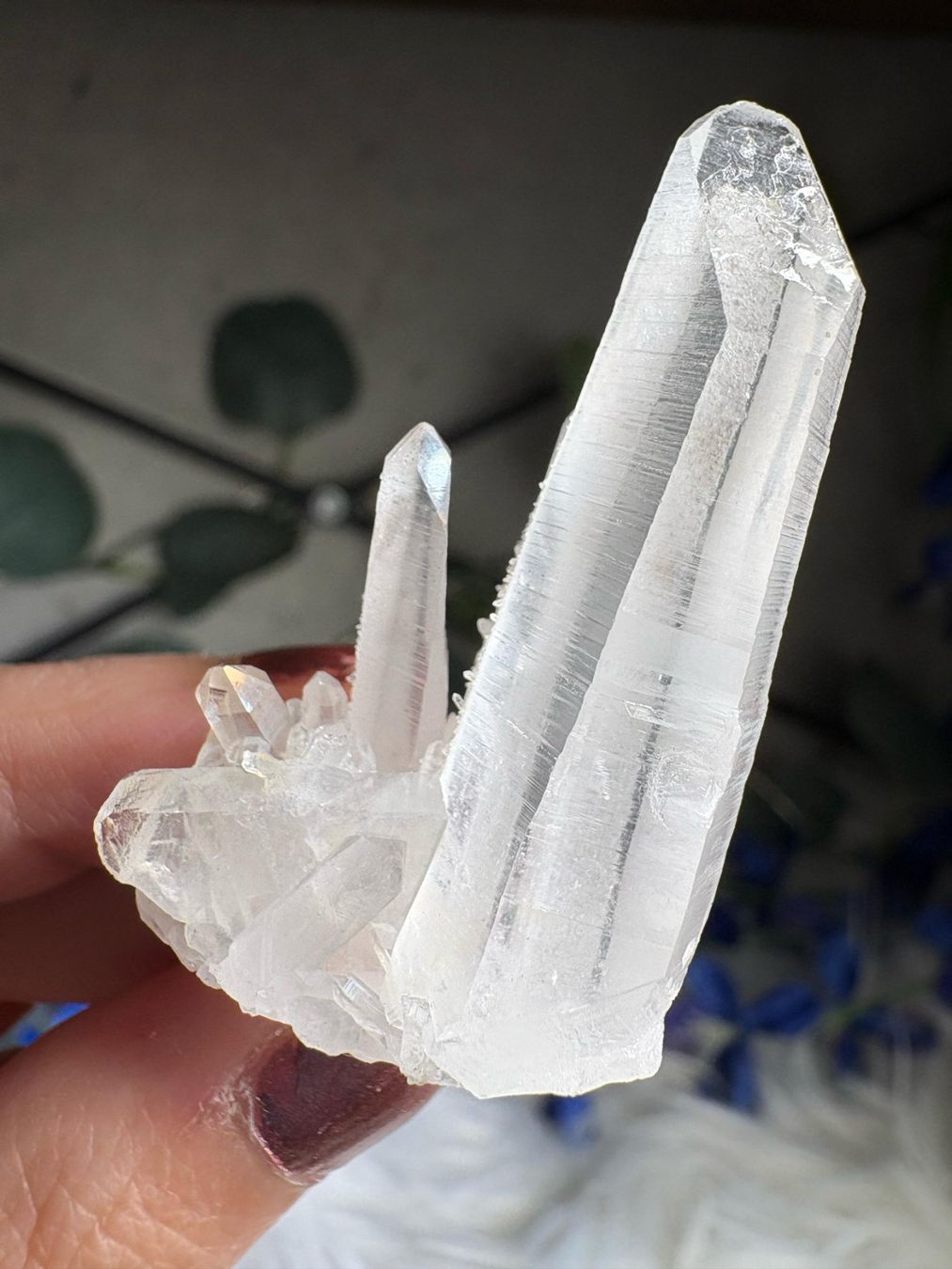 Minerali & Pietre curative: Kolumbianischer Lemurian-Quarz-Cluster – Nuovo (secondo la descrizione) da Neuheim venduto da m.hald 5
