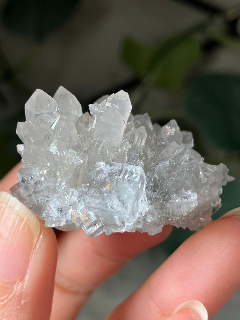 Minerali & Pietre curative: Quarz-Cluster mit Fluorit – Nuovo (secondo la descrizione) da Neuheim venduto da m.hald 1