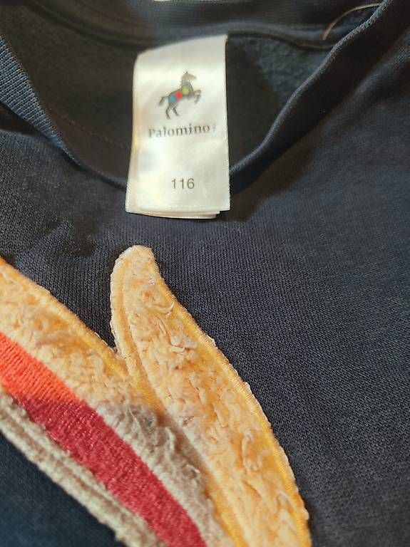 Pulls et sweat-shirts: Diverse Pullover Gr.116 – D'occasion à Zürich par aendiiii 4