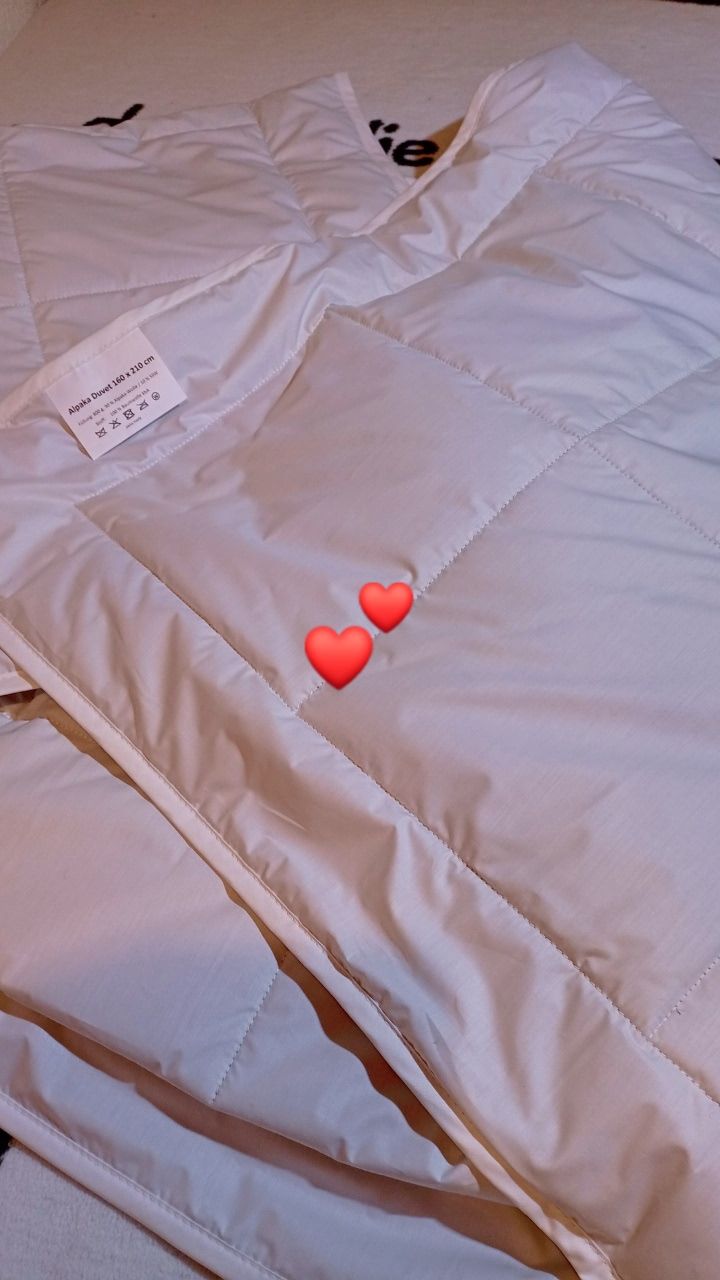 Coperte: Alpakaduvet – Nuovo e nell'imballaggio originale da Reinach AG venduto da Sogau