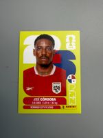 Panini Jose Cordoba PAN8