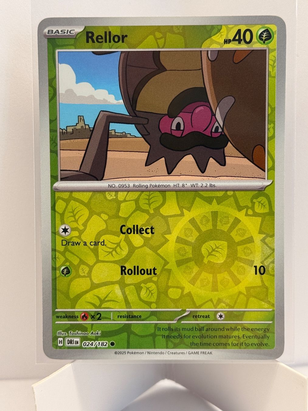 Pokémon Carte collezionabili: Rellor DRI 024/182 Reverse Holo EN NM – Nuovo (secondo la descrizione) da bern venduto da Wankdorf_Retro