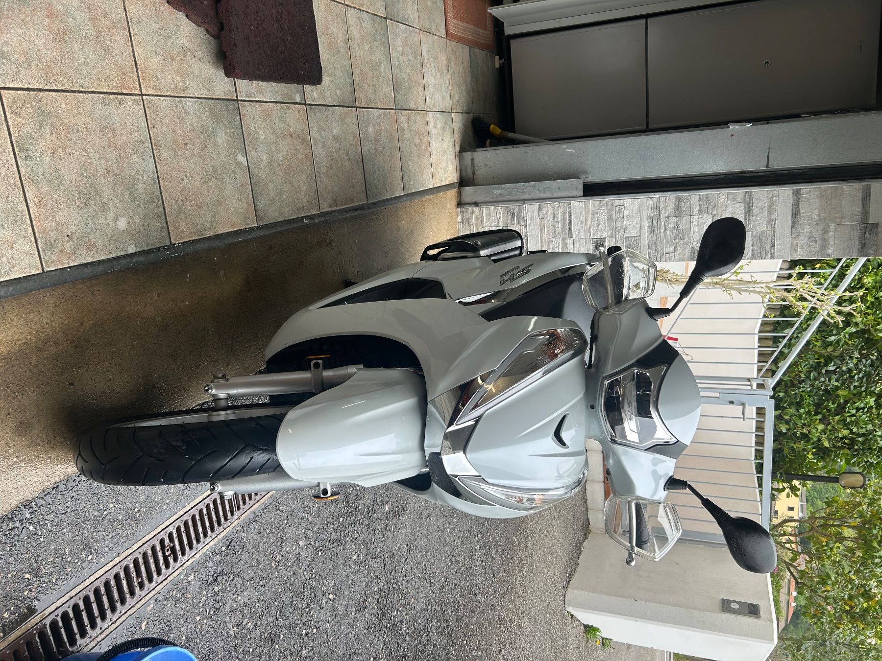 Honda Scooter: honda sh 300 – Usato da Riva San Vitale venduto da pia_c7hj 3