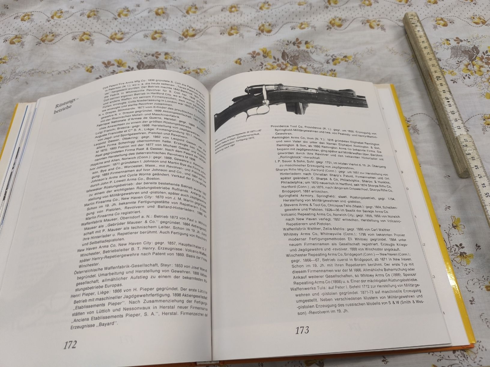 Libri: Buch.   Alte Hand- Feuerwaffen – Usato da Cama venduto da anto_a 7