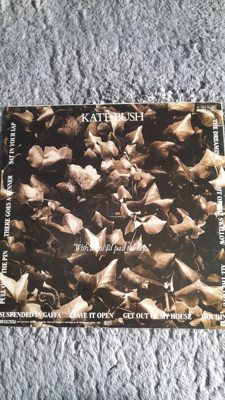 Schallplatten: KATE BUSH     THE DREAMING     LP      VINYL – Gebraucht aus Wetzikon ZH von  1