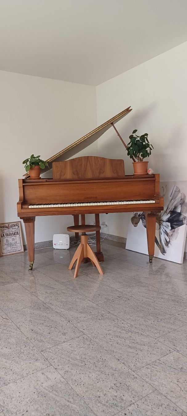 Strumenti musicali: Flügel(klein) – Usato da Biel-Benken BL venduto da Live010 6