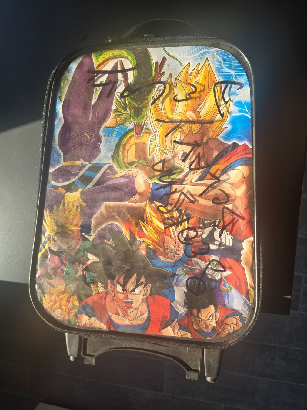Valigie: Valise – Usato da Granges-Marnand venduto da Deadyugi