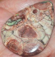Cabochon L-1107 – Vogel Augen Jaspis – 42x31x5mm
