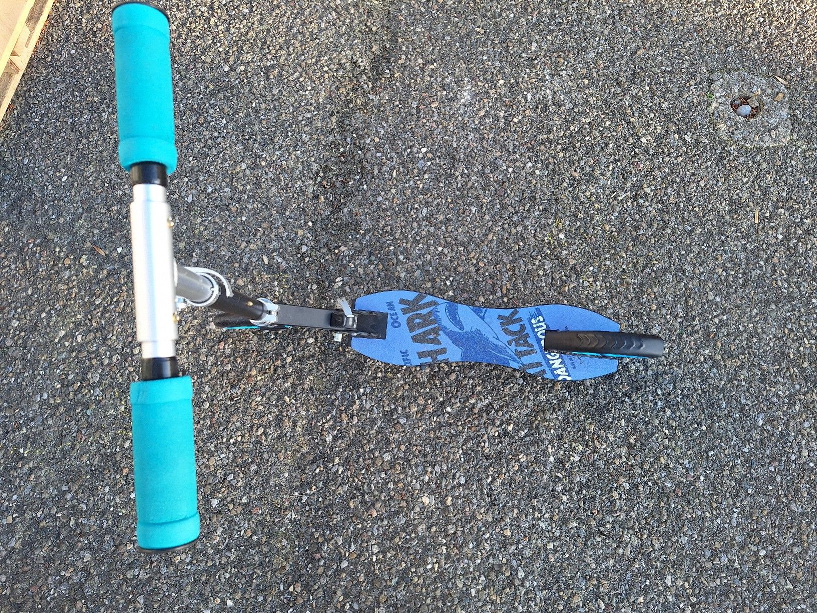Kickboard: Trotti – Usato da Bauma venduto da SteffiMue 1