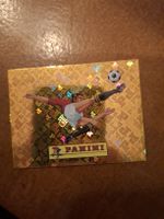 Paninibild FWC 00