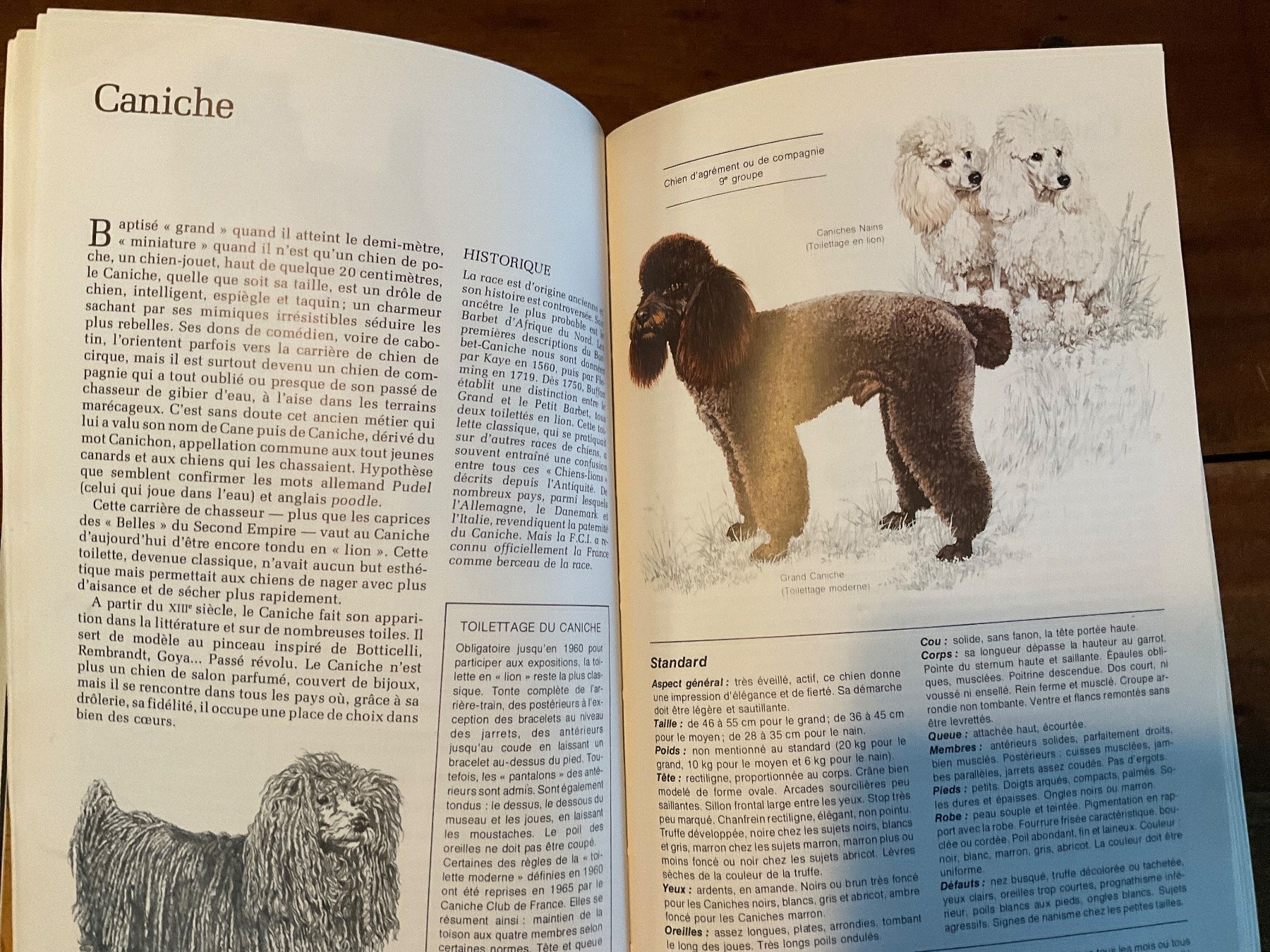 Livres: Guide des Chiens Sélection Reader's Digest – D'occasion à Avenches par Lactobacille 5