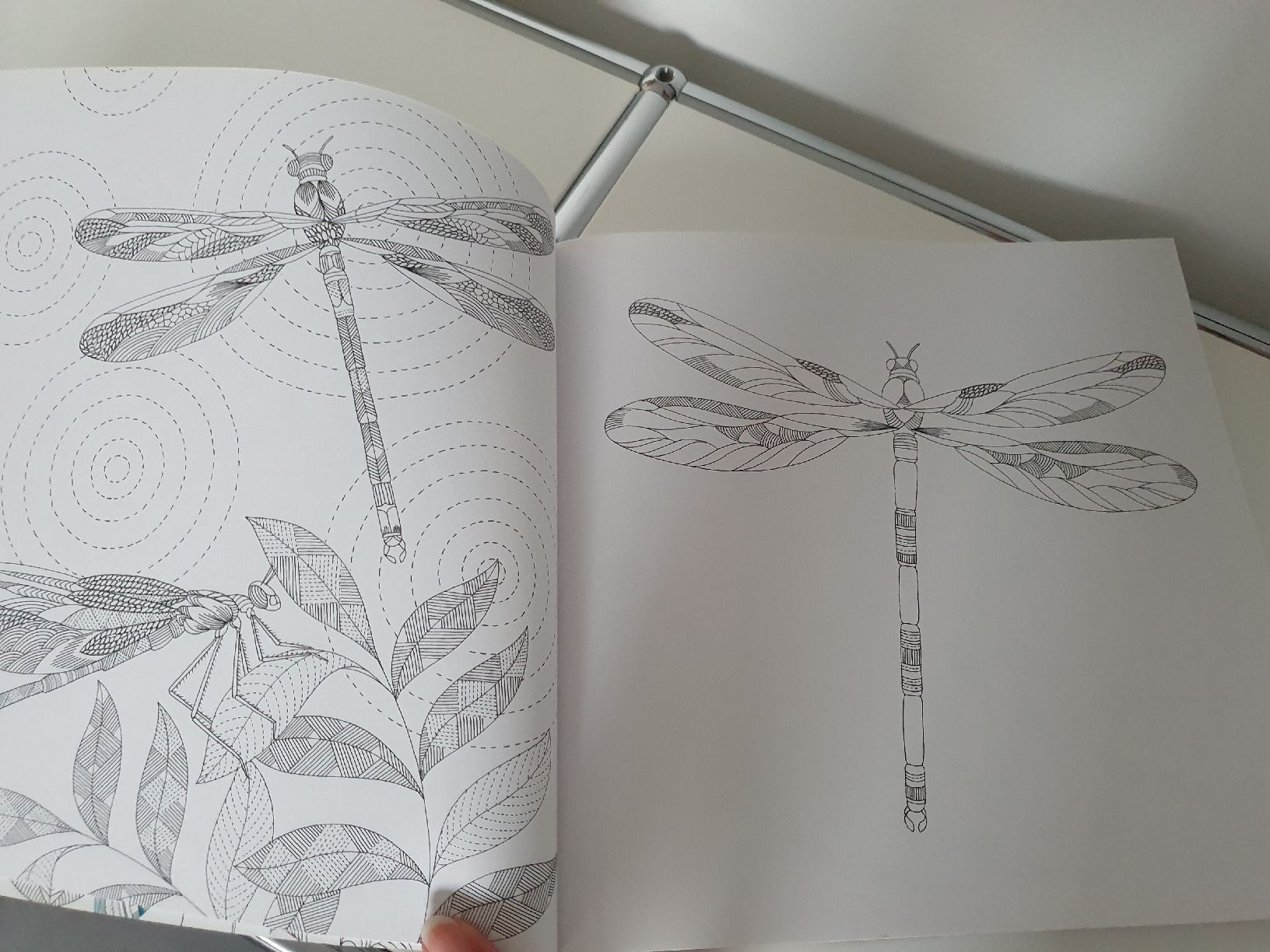 Libri: Ausmalbuch – Nuovo e nell'imballaggio originale da Steinach venduto da Xamax18 2