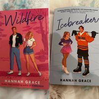 2 Bücher Hannah Grace Icebreaker und Wildfire neuwertig