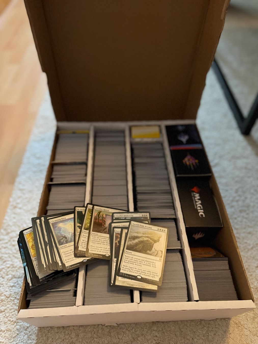 Magic The Gathering Carte collezionabili: MTG Bulk - (C, UC, R, M) White – Usato da Russikon venduto da _guitgarguy 5