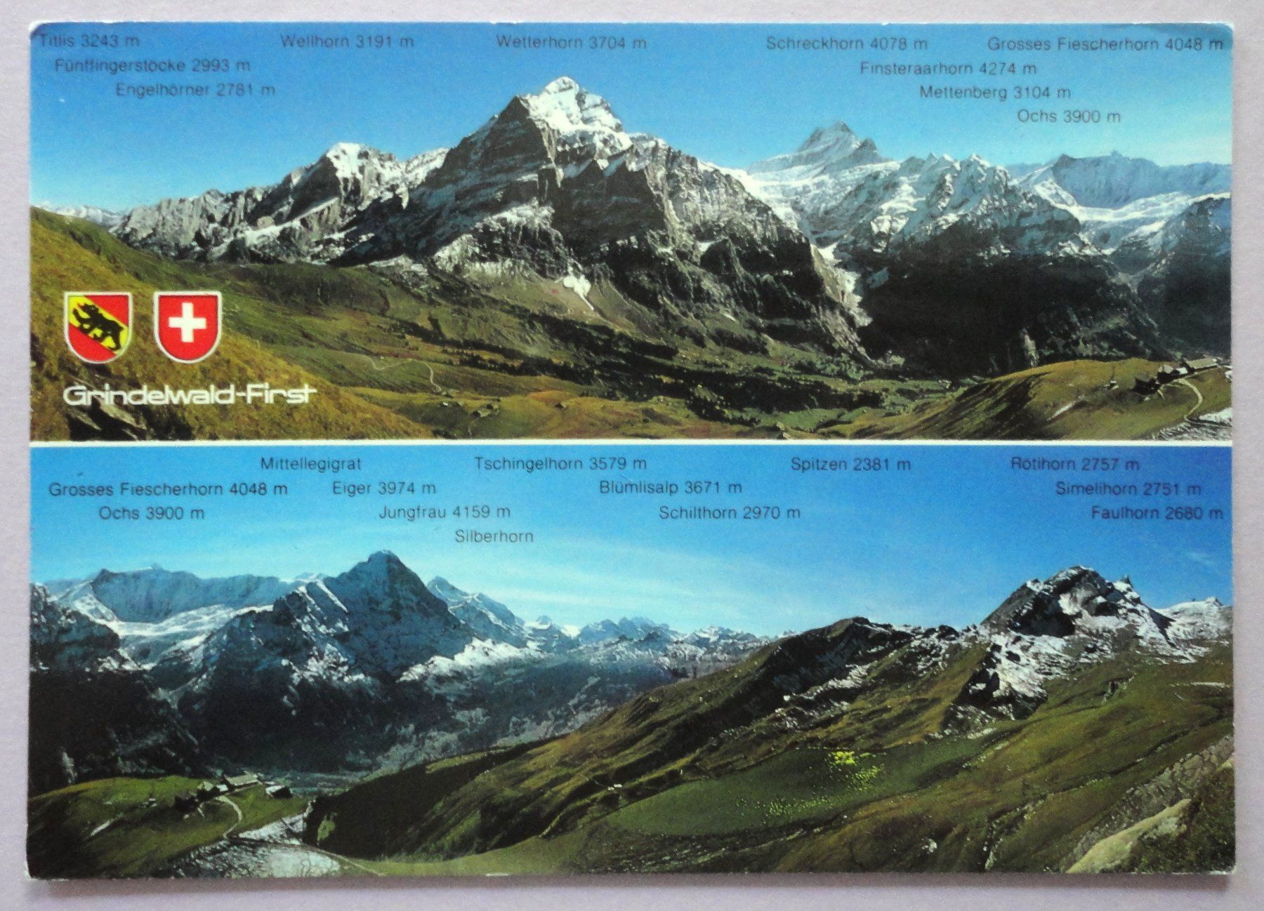 Cartoline postali: Grindelwald-First 2168 m, B.O. – Usato da Fétigny venduto da Billy2miny