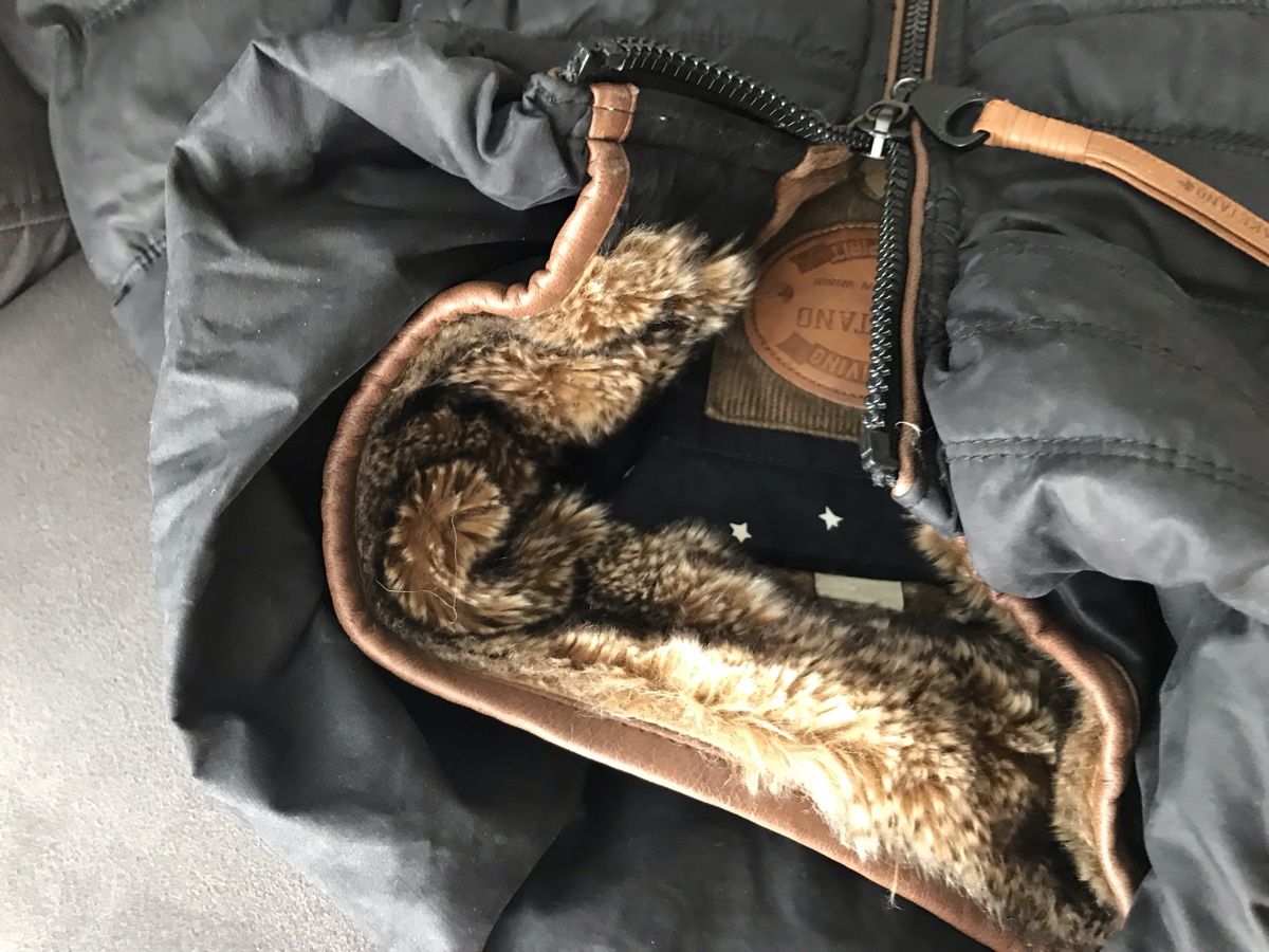 Naketano Giacche: Naketano Jacke – Usato da St. Gallen venduto da Emifrei 9