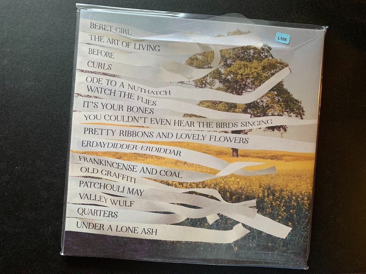 Dischi in vinile: Bibio ‎– Ribbons – Usato da Fribourg venduto da jimiJ13 1