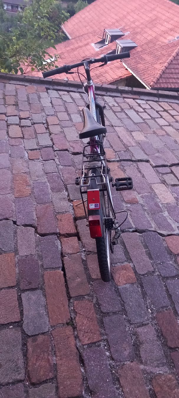 Swiss Pezzi di ricambio: Altes Velo - Ersatzteile – Difettoso da Häfelfingen venduto da iti_95tx 2