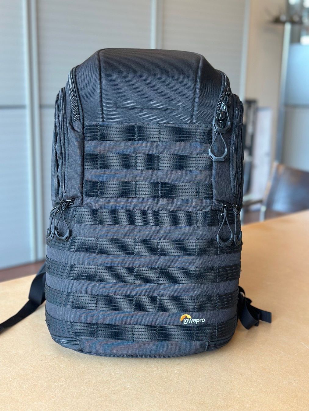 Lowepro Sacs à dos: Lowepro Protactic 450 AW – D'occasion à Tegna par calzebue