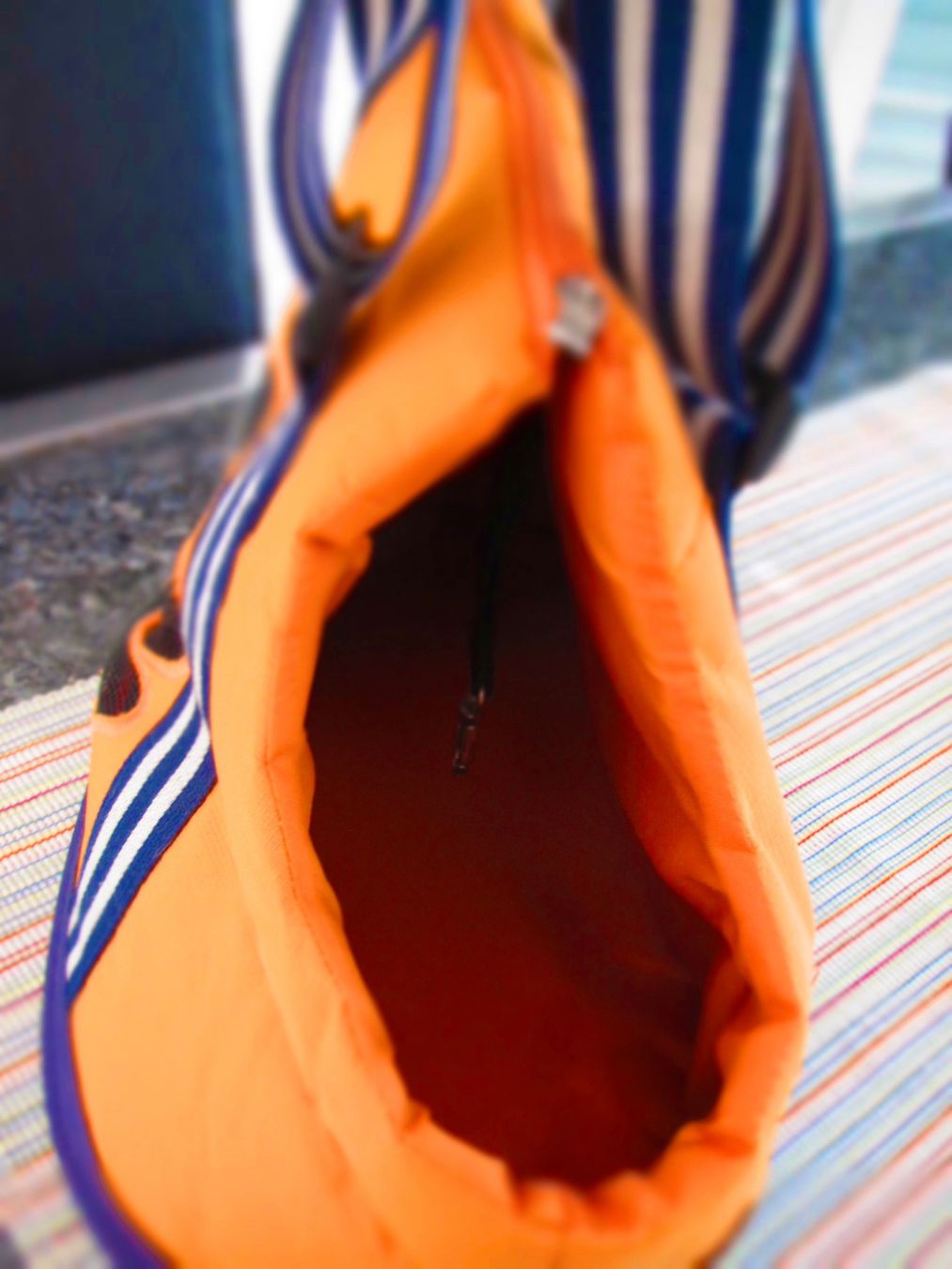 Borse: SAC DE TRANSPORT POUR CHIEN OU CHAT – Usato da Murten venduto da Selliot 4