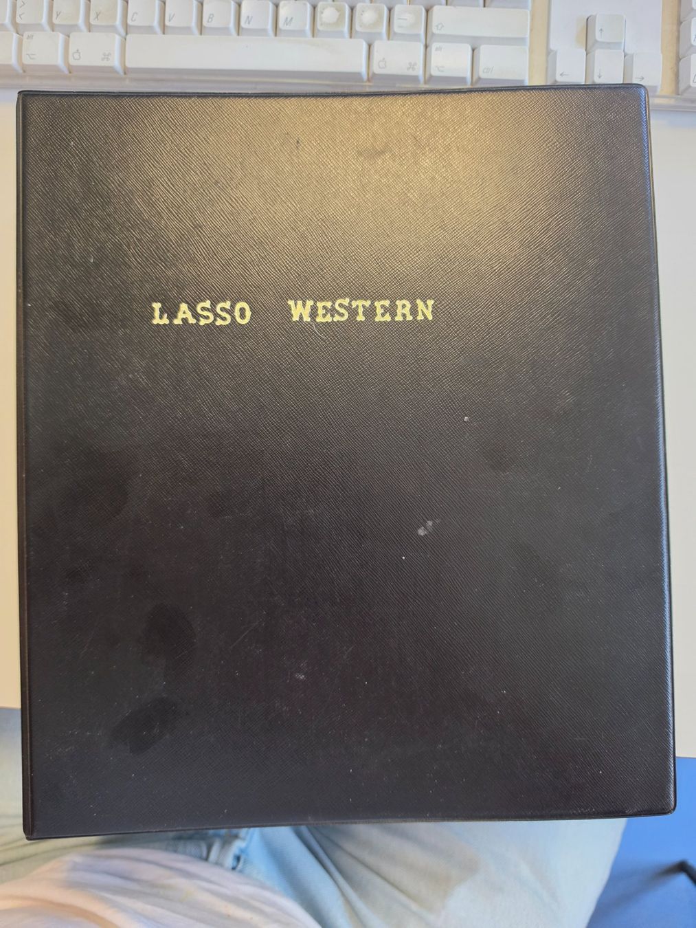 Comics: Lasso / Buffalo Bill Sammlung, 2 Ordner – Gebraucht aus Winterthur von Bratwurstbrater