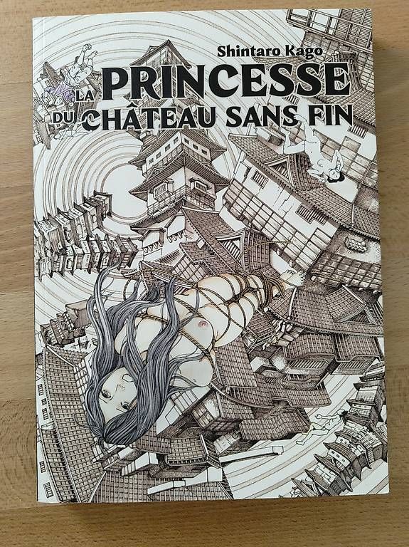 Comics: Comics La princesse du château sans fin  – Gebraucht aus Lausanne von cha_28dn