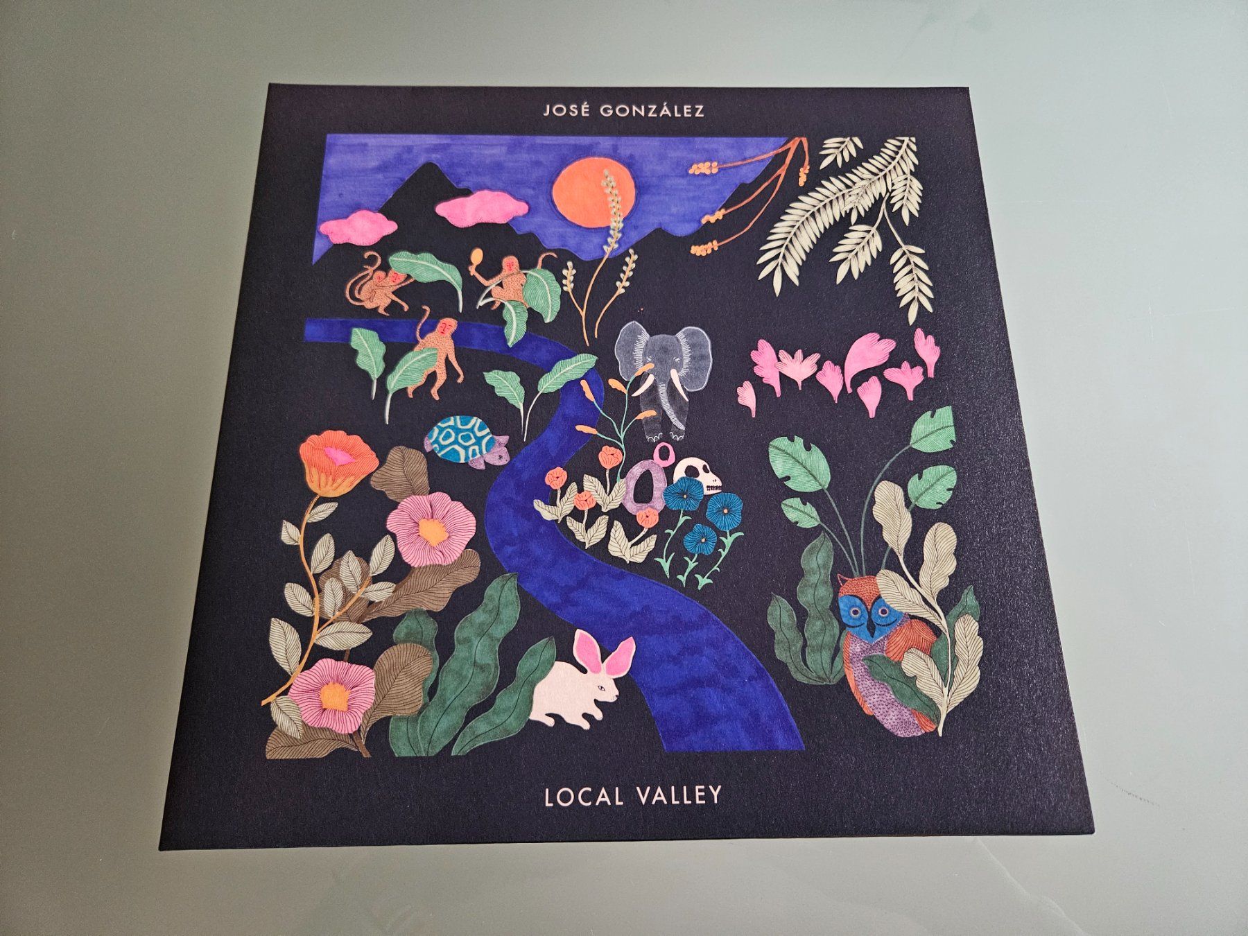 José González Local Valley LP Green Vinyl NM Indie Rock Folk (Gebraucht ...