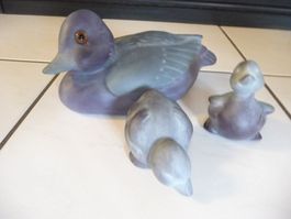 Enten Mutter mit "Kindern"