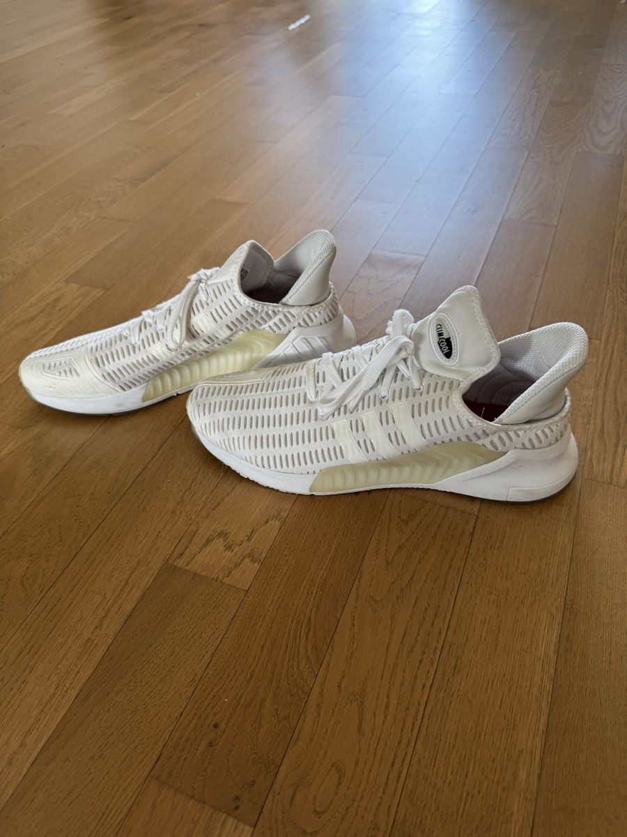 Adidas Scarpe da uomo: Adidas Clima Cool Gr. 47 1/3 – Usato da Altendorf venduto da wqv_97 2