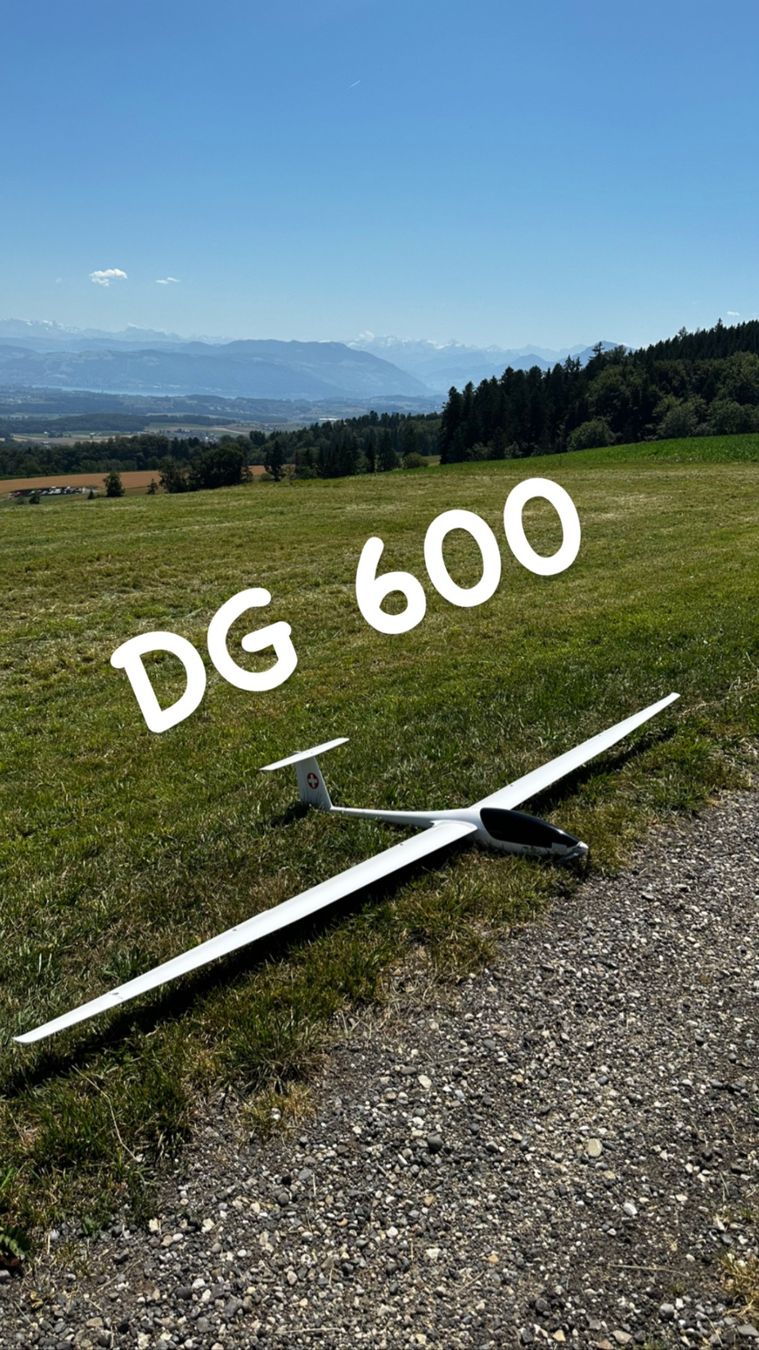 Modellismo RC: RCRCM DG 600 CFK – Usato da Rombach venduto da mobsi13