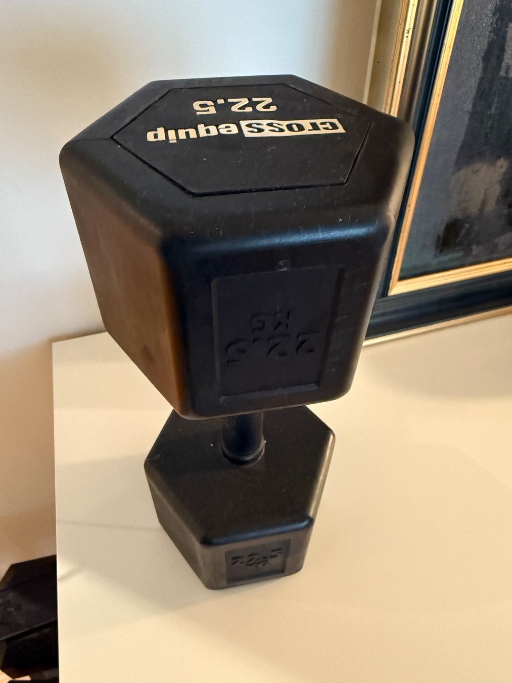 Cross Equip Manubri & Pesi: High Grade Hex Dumbbell - Kurzhantel 22.5Kg – Nuovo (secondo la descrizione) da Freienbach venduto da Mariadlgg 2