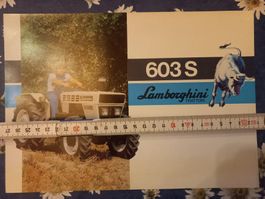 Original Oldtimer Traktor Prospekt Lamborghini 603 S Deutsch