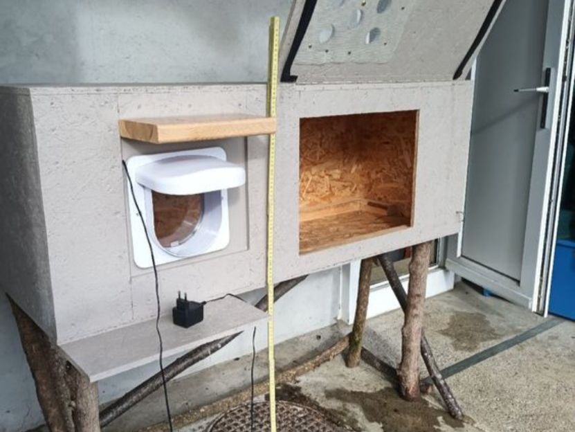 Katzenklappen: Katzenhaus mit Chiplesegerät – Gebraucht aus Hirschthal von Narthur 1