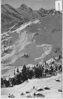 Mürren - Blumental im Winter