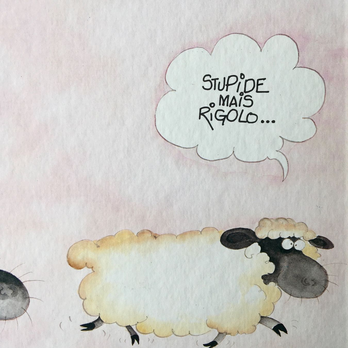 Libri: Le livre STUPIDE BABETTE Cole – Usato da Delémont venduto da vcx 2