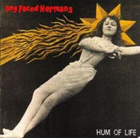 Dog Faced Hermans HUM OF LIFE  Post-Punk/Anarcho-Punk CD