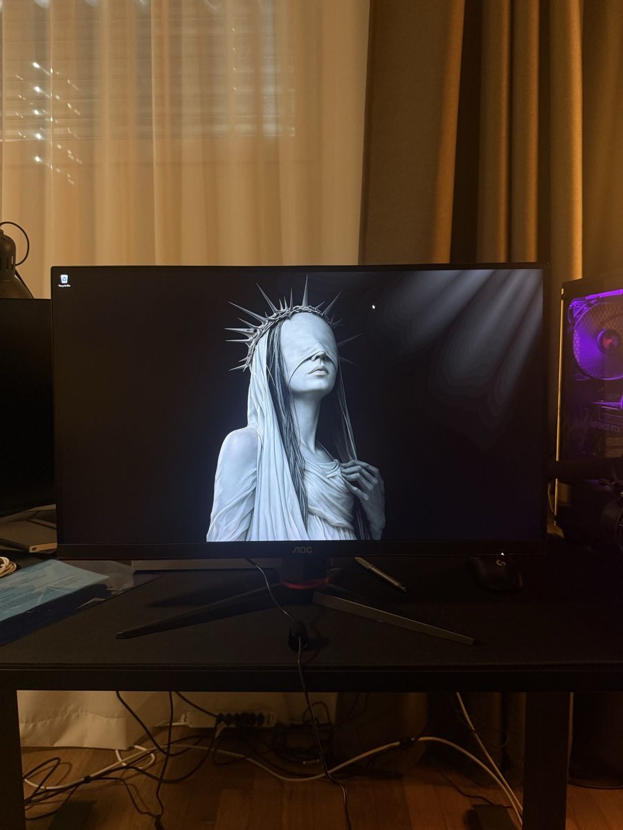 AOC Monitor: Monitor AOC | 155hz – Usato da Uitikon Waldegg venduto da joshnzh