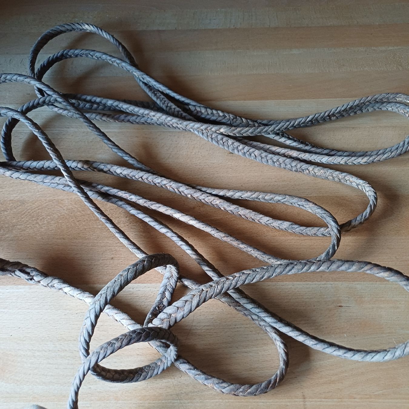 Corde: Heuseil aus Kuhhaut geflochten – Usato da Trimmis venduto da grrose 5