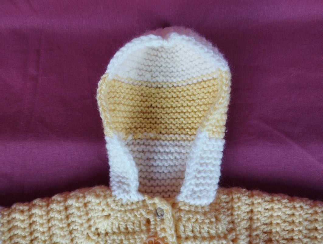 Pagliaccetti: Baby-Overall mit Kapuze - VIERZACK – Nuovo (secondo la descrizione) da Schübelbach venduto da Restwert_Schubelbach 4