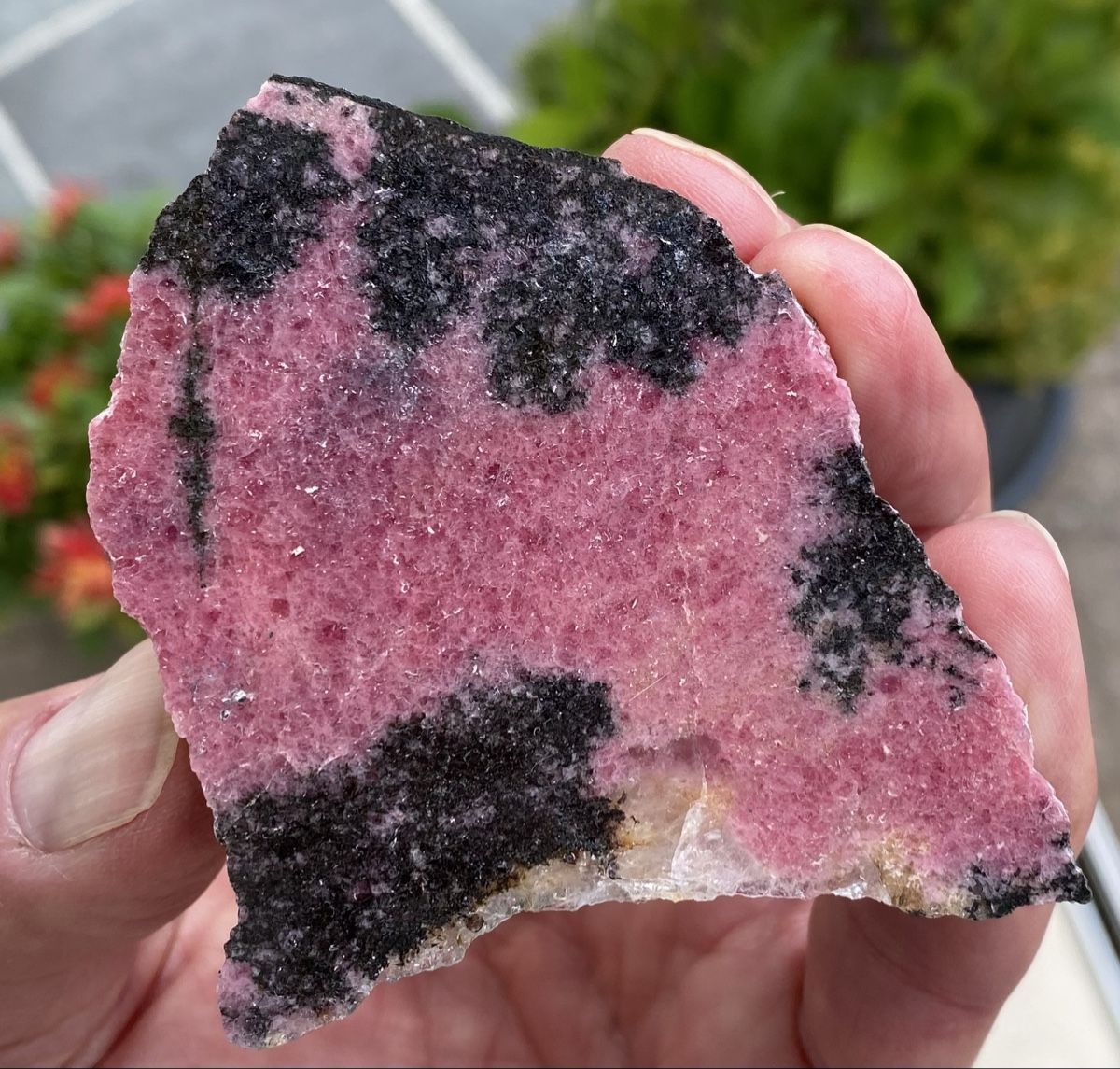 Minerali & Pietre curative: Schönes Stück Rhodonit  – Usato da Selzach venduto da 321compac 6
