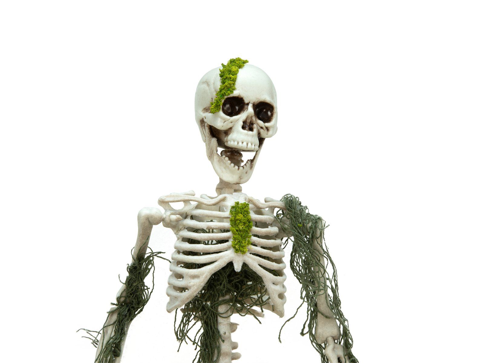 Statuette: EUROPALMS Halloween Skelett mit Moos, 40cm – Nuovo e nell'imballaggio originale da Däniken SO venduto da Profog1 5